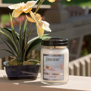 Beach Collection - Coconut Island™, Large Jar Candle - The Candleberry® Candle Company - Beach Collection Large Jar Candle - The Candleberry Candle Company