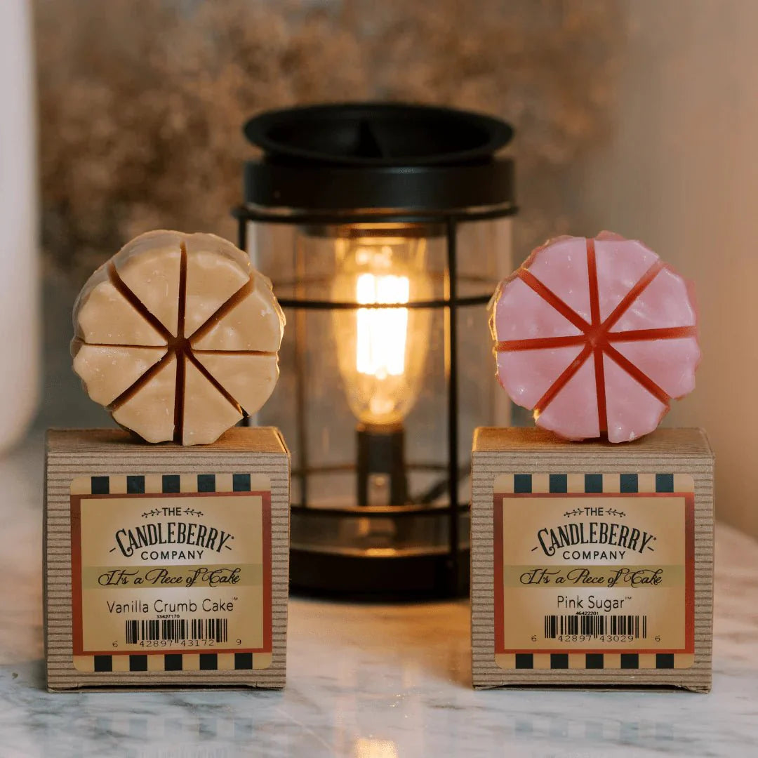 Double Cavity Warmer Insert - The Candleberry® Candle Company - Accessories - The Candleberry Candle Company