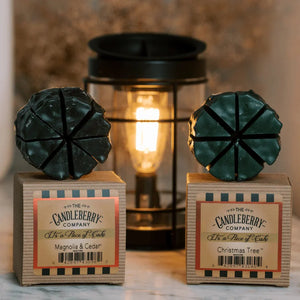 Double Cavity Warmer Insert - The Candleberry® Candle Company - Accessories - The Candleberry Candle Company