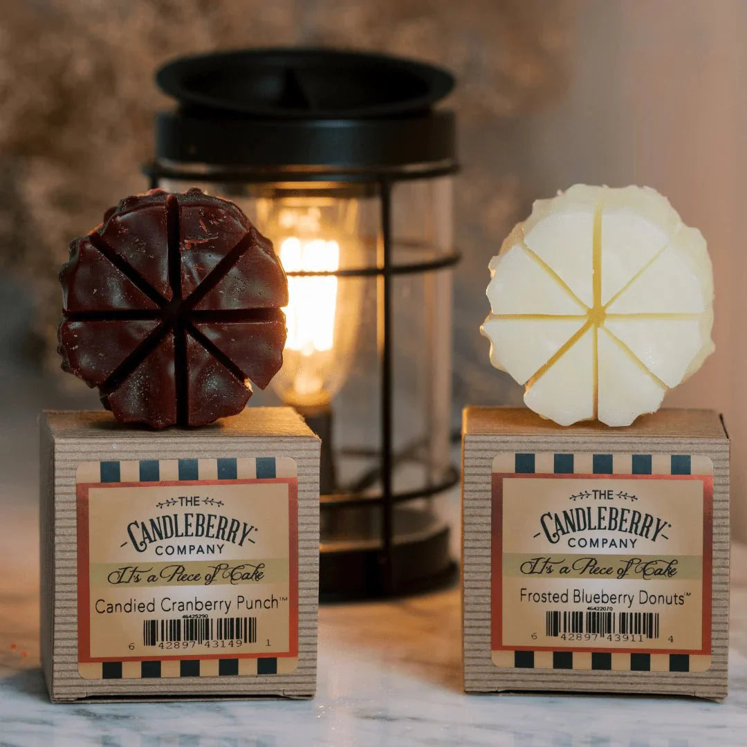 Double Cavity Warmer Insert - The Candleberry® Candle Company - Accessories - The Candleberry Candle Company